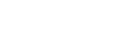 VisionTrust Consulting